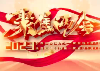 重磅！组建国家数据局，数据要素市场进入新发展阶段 | DW数智视野