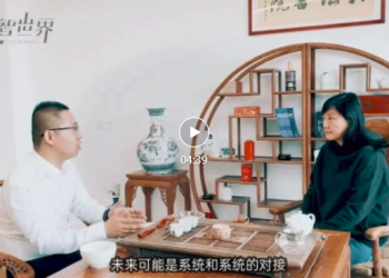 【访谈】黄君平：在信息化、数字化、智能化中人的角色 | DW数智观点