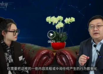 谭北平：中国走在前列的数字化实践 | DW数智观点