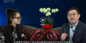 谭北平：中国走在前列的数字化实践 | DW数智观点