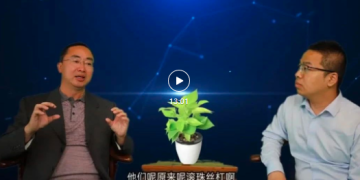 【专访】张劲：数字化并非虚无缥缈，可以脚踏实地 | DW数智观点