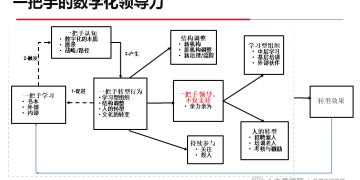毛基业：一把手的数字化转型领导力！ | DW数智观点